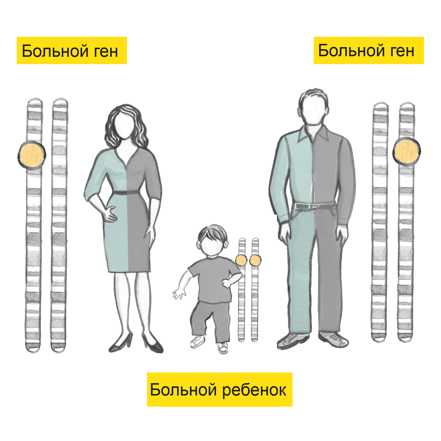 Тест GeneScreen Complete 