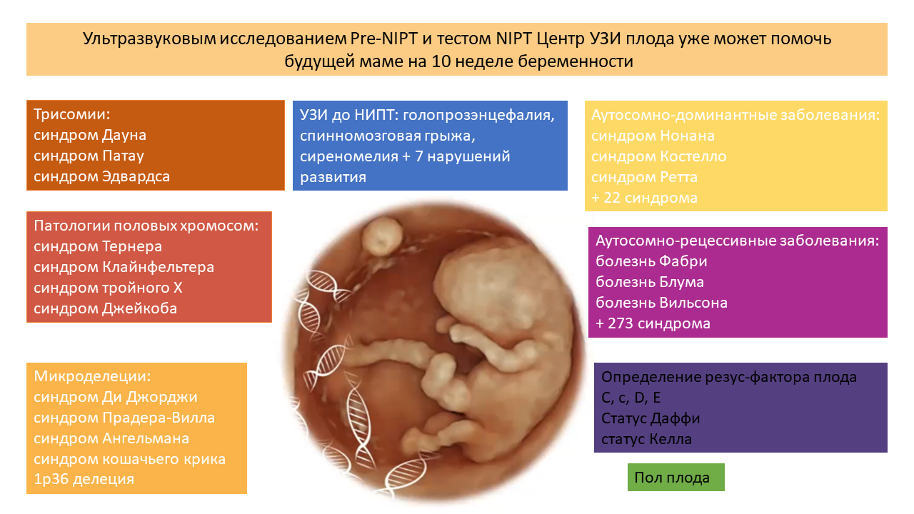 NIPT