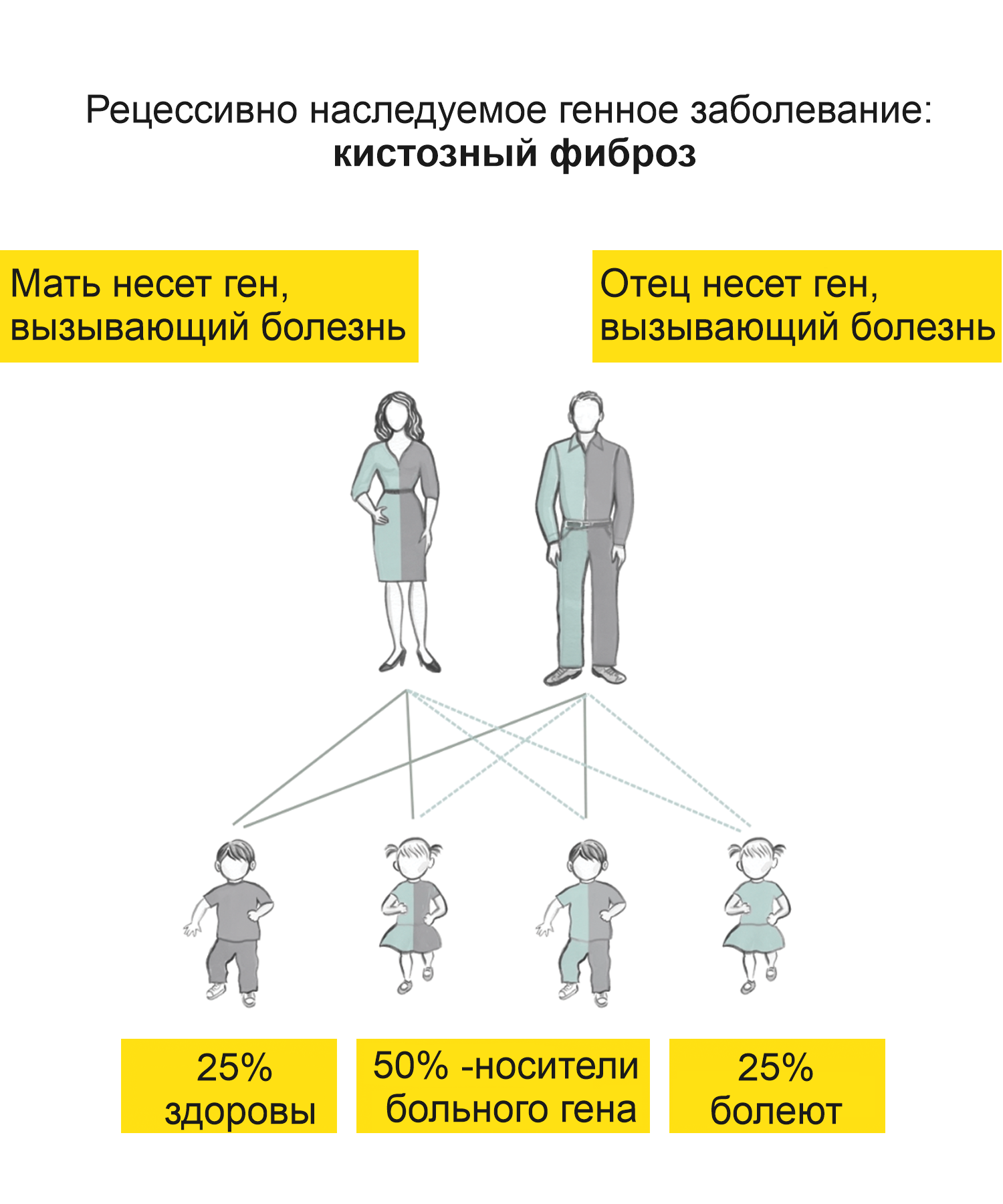 Тест GeneScreen