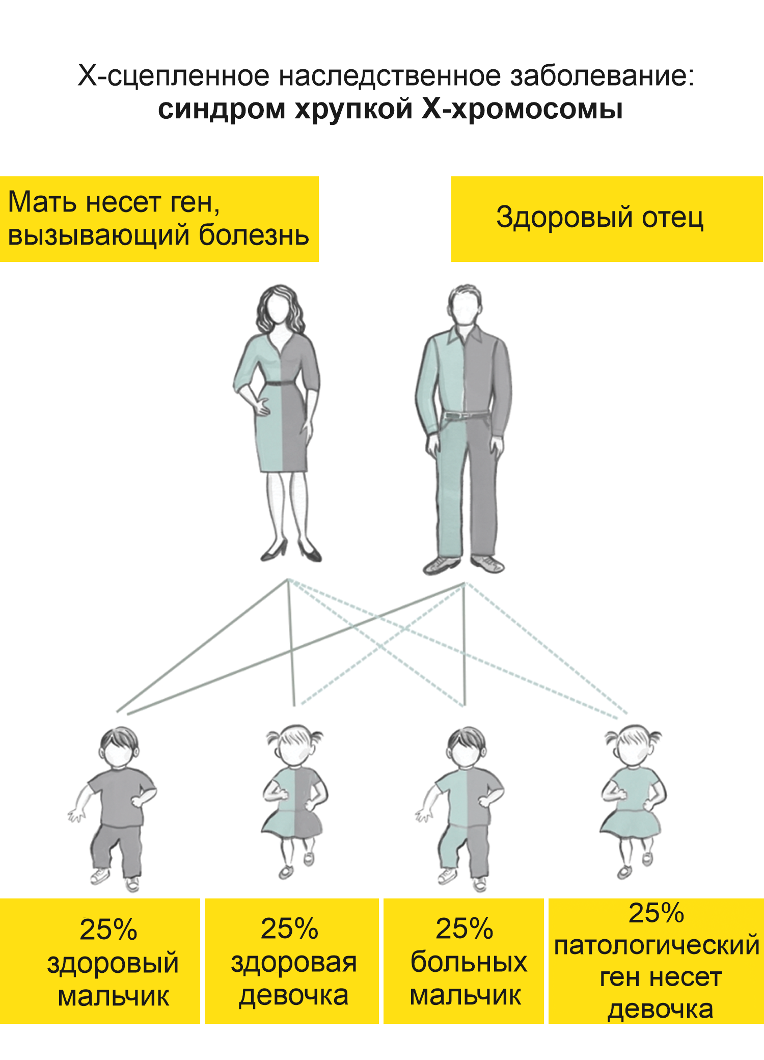 Как получить наследственные. Синдром ломкой х-хромосомы. Синдром ломки х хромосомы у девочек. Анализ на ломкость х-хромосомы у женщин.