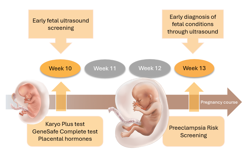 Fetal Double test