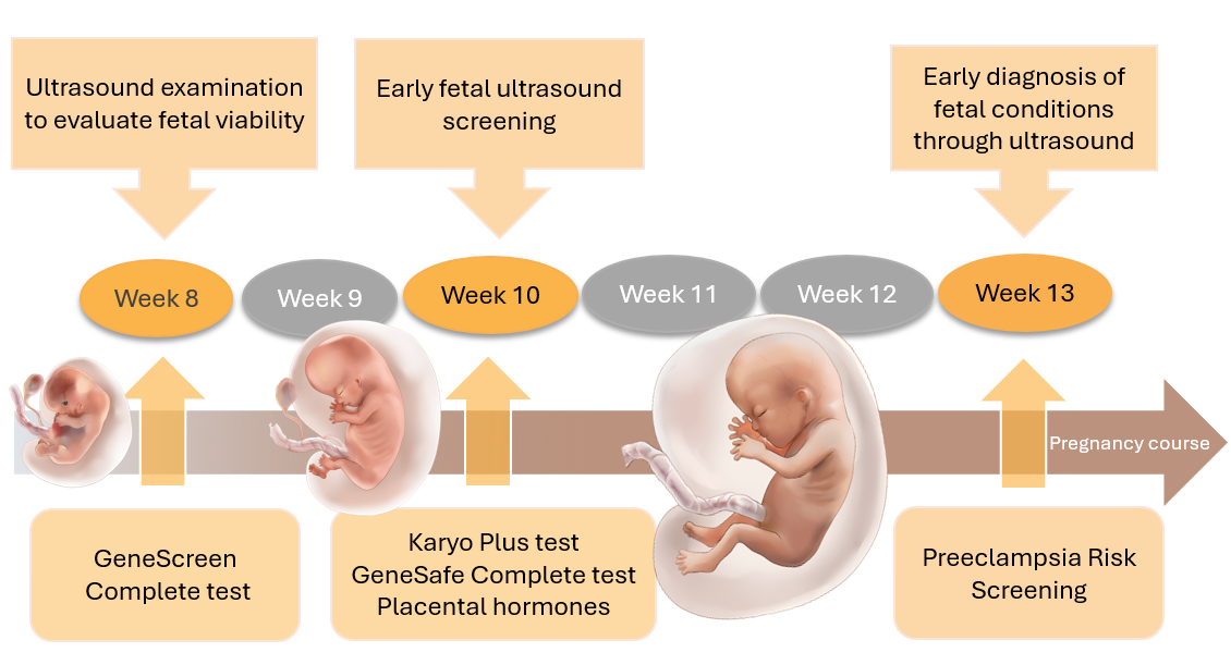 Fetal Triple test