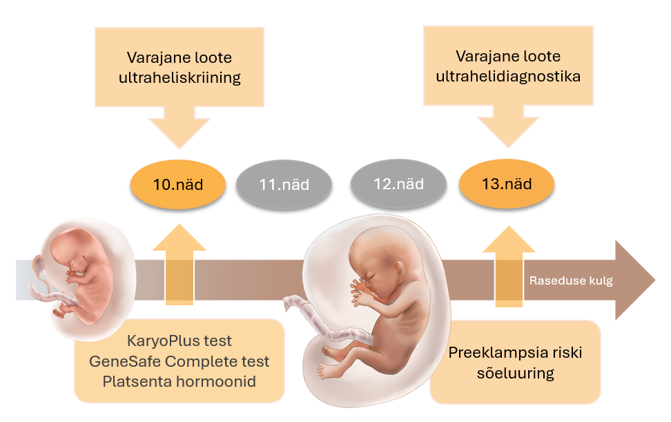 Loote Kaksiktest