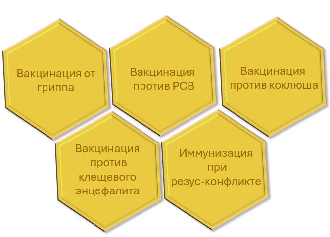 Вакцинация беременных женщин