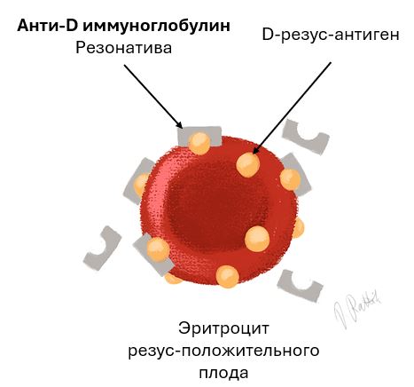 Rhesonativ