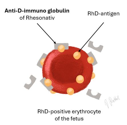 Rhesonativ