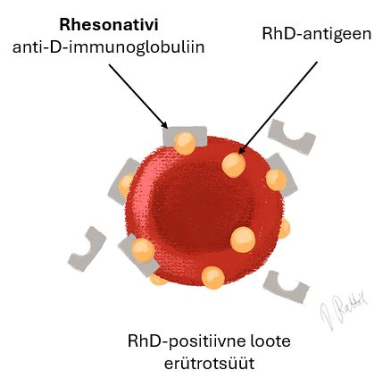 Rhesonativ
